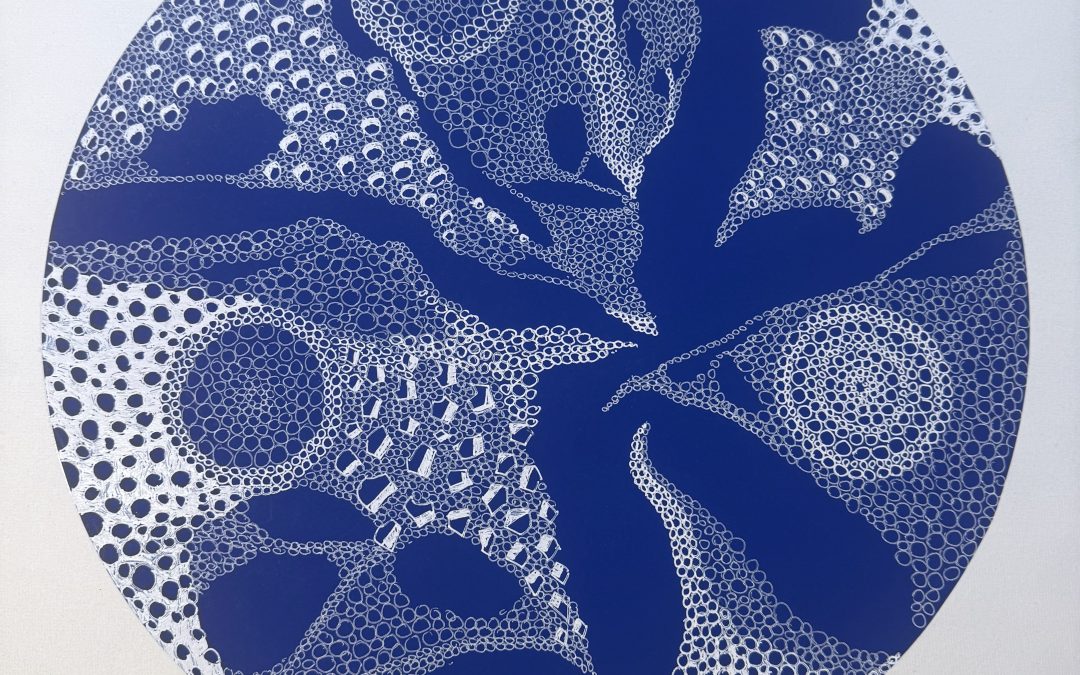 Blue World Series 2021 – 2026