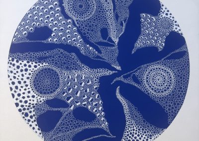 Blue World Series 2021 – 2026